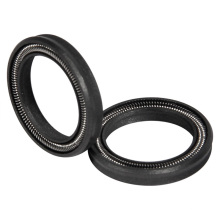 Vedantes de mola PTFE + carbono para valor